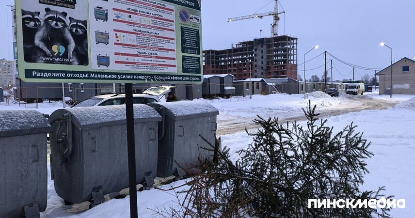 Правила расставания: куда деть новогоднюю ель после праздников, рассказали в ЖРЭУ Пинска