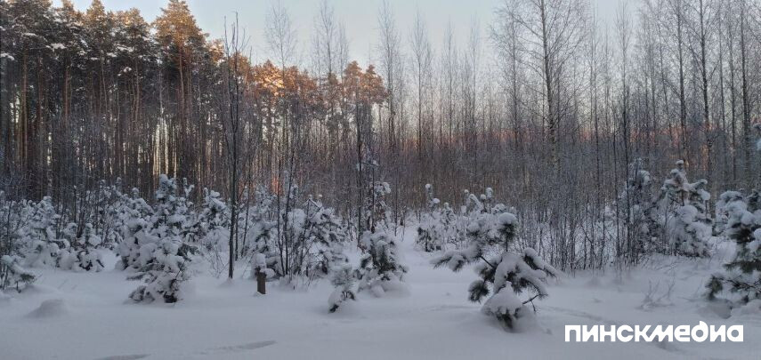 Почему февраль — самый короткий месяц в году?