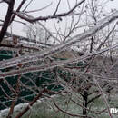 Циклон «Леони» накрыл Беларусь: объявлен оранжевый уровень из-за гололеда и снега на 27 января