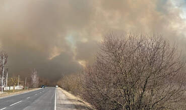 Возле Малых Диковичей в Пинском районе горит сухая растительность