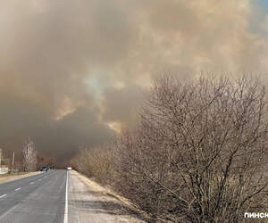 Возле Малых Диковичей в Пинском районе горит сухая растительность