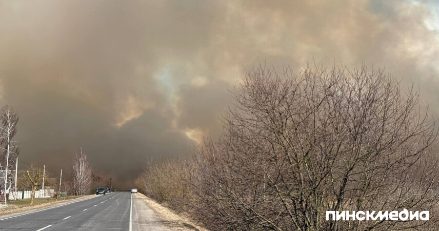 Возле Малых Диковичей в Пинском районе горит сухая растительность