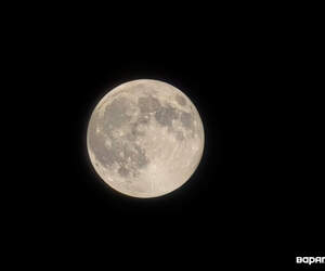 Холодная Луна и последнее суперлуние года украсят небо 5 декабря в Беларуси