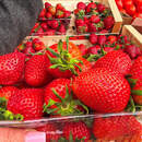 «Своей» пока нет: где в Пинске искать клубнику к праздникам и сколько она стоит