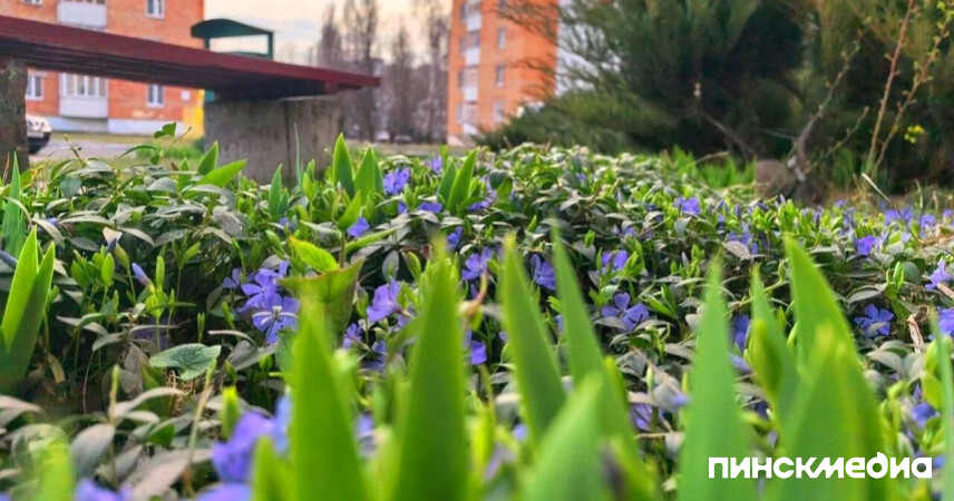 Каким будет апрель 2026-го в Беларуси: весна обгоняет график, но готовит «сюрпризы»