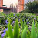 Каким будет апрель 2026-го в Беларуси: весна обгоняет график, но готовит «сюрпризы»