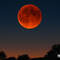 «Кровавая Луна»: когда и где смотреть полное лунное затмение 3 марта