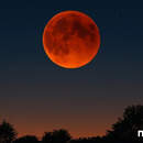 «Кровавая Луна» и полное лунное затмение 3 марта: когда и где смотреть
