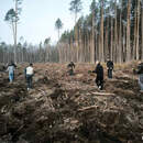 Труд объединяет: в Пинском районе милиция и студенты посадили новый лес