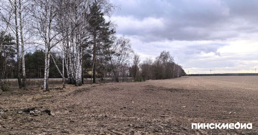 В Брестской области сняты ограничения на посещение лесов