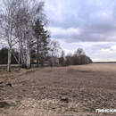 В Брестской области сняты ограничения на посещение лесов