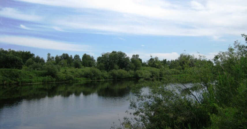 В Брестской области расширен перечень водоемов для подводной охоты и лова на дорожку - места в Пинском районе
