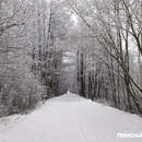 До -33°С: сильные морозы возвращаются в Беларусь