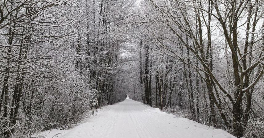 До -33°С: сильные морозы возвращаются в Беларусь