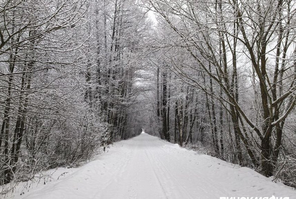 До -33°С: сильные морозы возвращаются в Беларусь