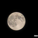 Снежная Луна 2 февраля появится в небе над Беларусью