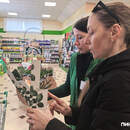 От редиса до розария:  магазин «Насенне» или где пинчанам выгодно подготовиться к дачному сезону