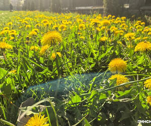 В Беларусь идет тепло: какие сюрпризы готовит погода на начало мая