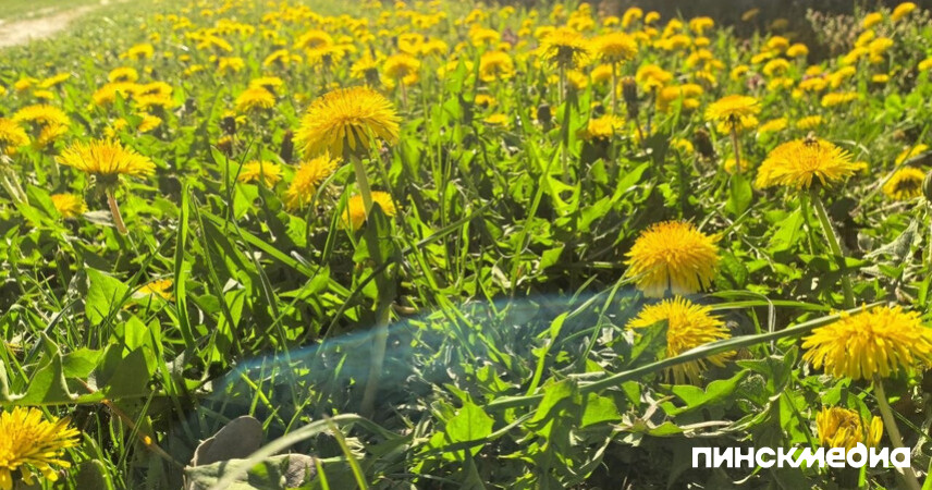 В Беларусь идет тепло: какие сюрпризы готовит погода на начало мая