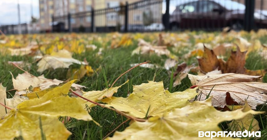 Местами сильные дожди: какую погоду ждать в выходные 18-19 октября