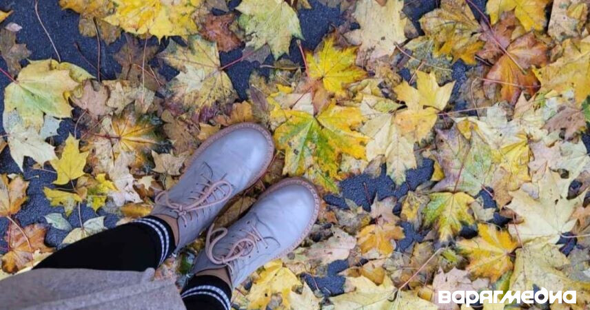 До -8 °С ночью, дожди, мокрый снег: какую погоду ждать в выходные 15-16 ноября в Беларуси