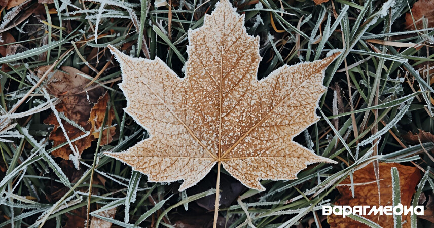 До -5°С: синоптики предупреждают о ночных заморозках 26 сентября в Беларуси