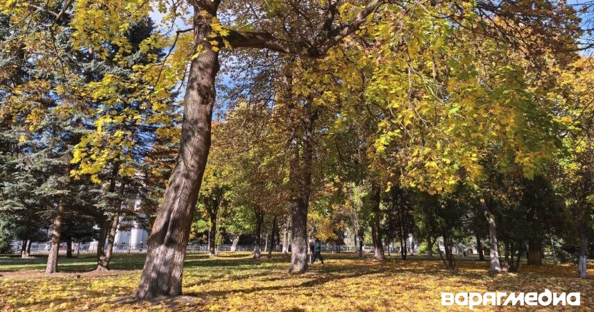 Впервые в 2025 году индекс солнечной активности снизился до нулевой отметки