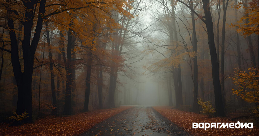 Туман, дожди, порывы ветра: какой будет погода 10 октября в Беларуси