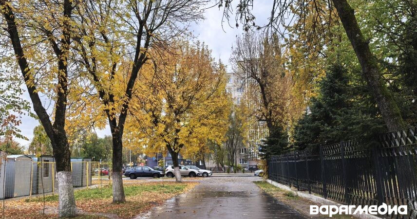 Дожди, местами сильные: какую погоду ждать в выходные 25-26 октября в Беларуси