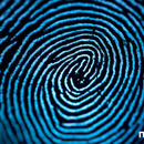 В Беларуси расширили перечень лиц, обязанных проходить дактилоскопию