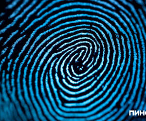 В Беларуси расширили перечень лиц, обязанных проходить дактилоскопию