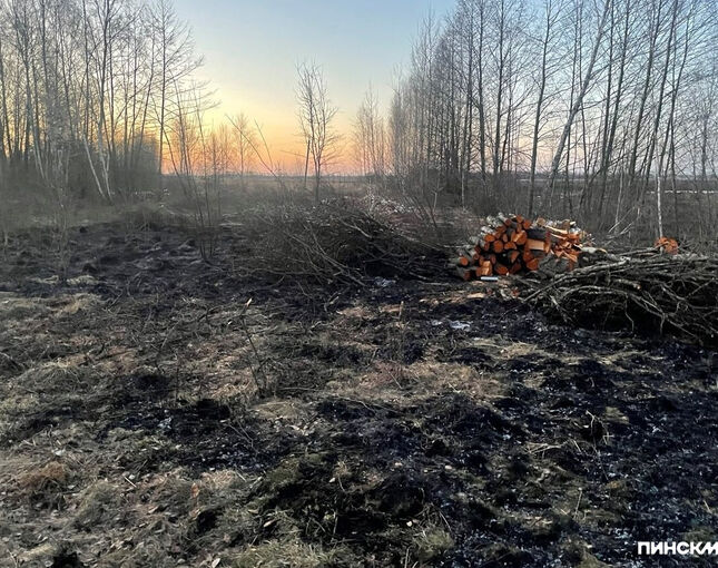 Пинщина в огне: палы сухой растительности фиксируют в разных направлениях, в ГРОЧС напоминают про штрафы