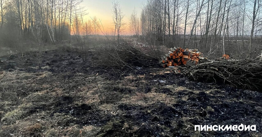 Пинщина в огне: палы сухой растительности фиксируют в разных направлениях, в ГРОЧС напоминают про штрафы