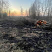 Пинщина в огне: палы сухой растительности фиксируют в разных направлениях, в ГРОЧС напоминают про штрафы