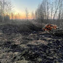 Пинщина в огне: палы сухой растительности фиксируют в разных направлениях, в ГРОЧС напоминают про штрафы