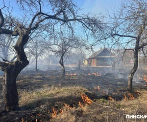 В Пинском районе продолжают жечь траву вопреки штрафам и угрозе пожаров