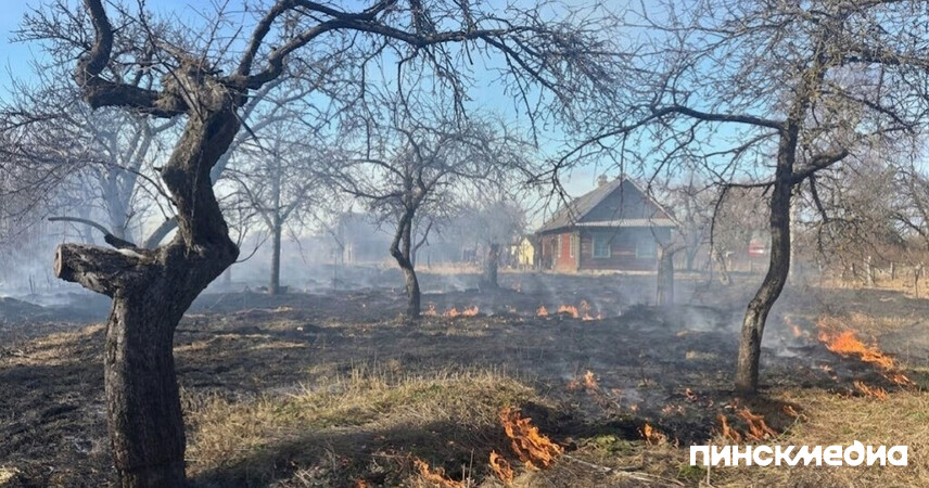 В Пинском районе продолжают жечь траву вопреки штрафам и угрозе пожаров
