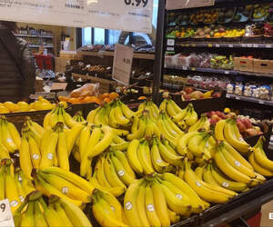 Сколько денег в среднем ежедневно тратят белорусы в магазинах