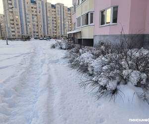 До -30°С! Синоптики предупреждают о сильных морозах в ближайшие дни в Беларуси