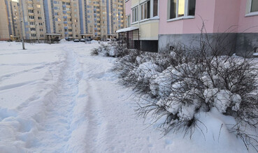 До -30°С! Синоптики предупреждают о сильных морозах в ближайшие дни в Беларуси