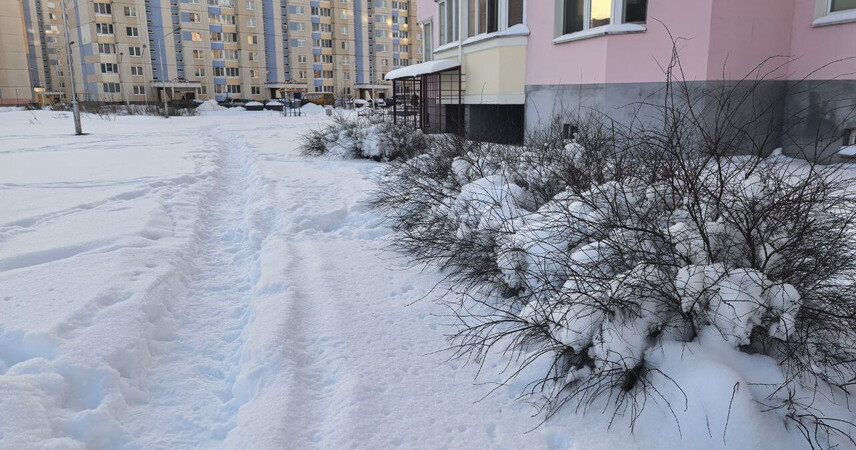 До -30°С! Синоптики предупреждают о сильных морозах в ближайшие дни в Беларуси