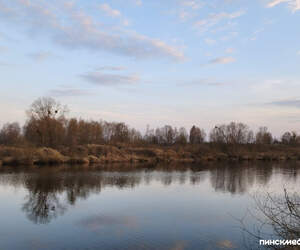 В Пинском районе с 15 апреля ограничено посещение лесов