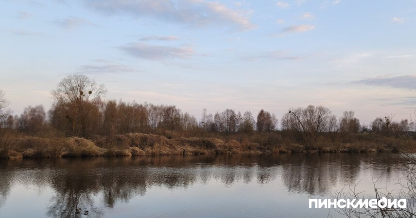 В Пинском районе с 15 апреля ограничено посещение лесов