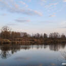 В Пинском районе с 15 апреля ограничено посещение лесов