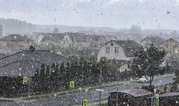 Погодная аномалия в Пинске: 26 апреля в городе выпал снег