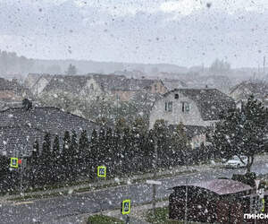 Погодная аномалия в Пинске: 26 апреля в городе выпал снег