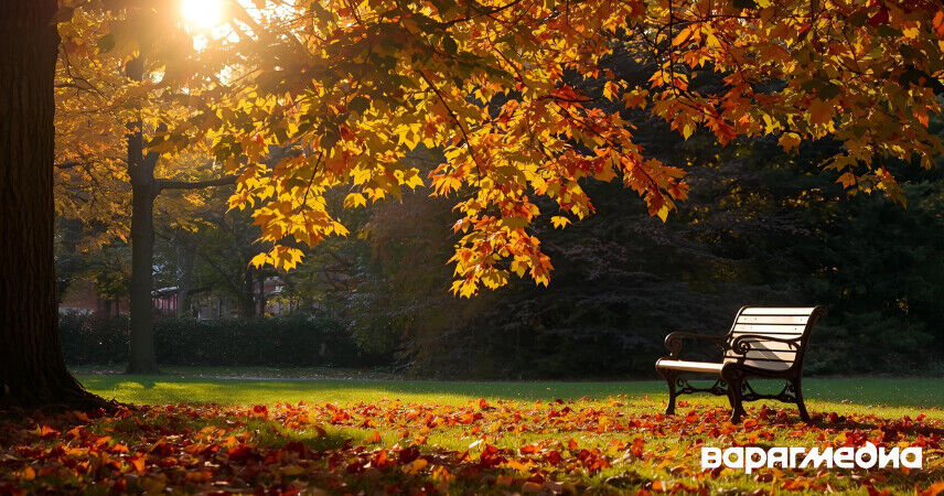 До +17°С, дожди: какую ждать погоду в выходные 4-5 октября в Беларуси