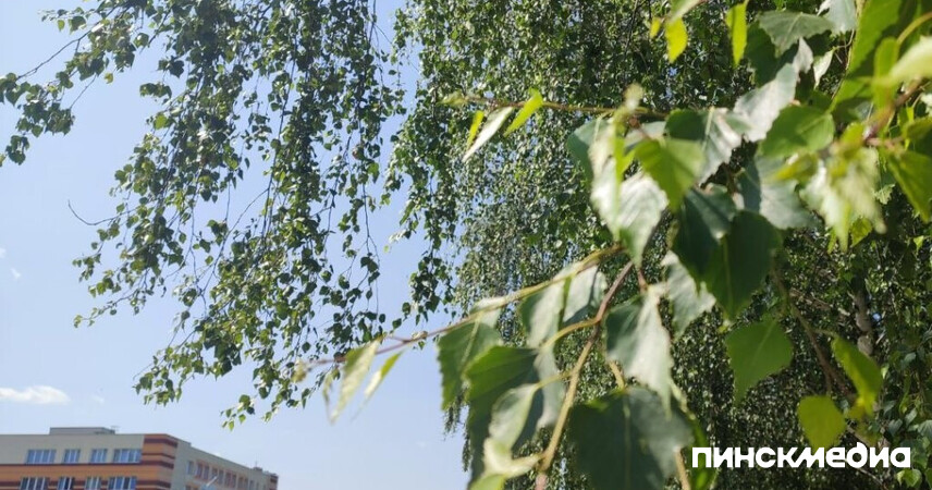 Ждем тепло или все же осень? Синоптики рассказали, какой будет погода с 25 августа