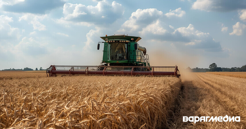 Молодым специалистам в сельхозорганизациях увеличат доплаты