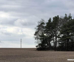 Брестская область оцифрует все сельхозугодья к 2028 году